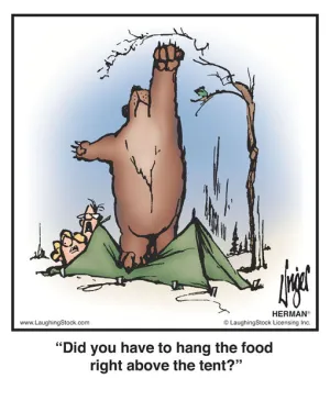 Did you have to hang the food right above the tent?