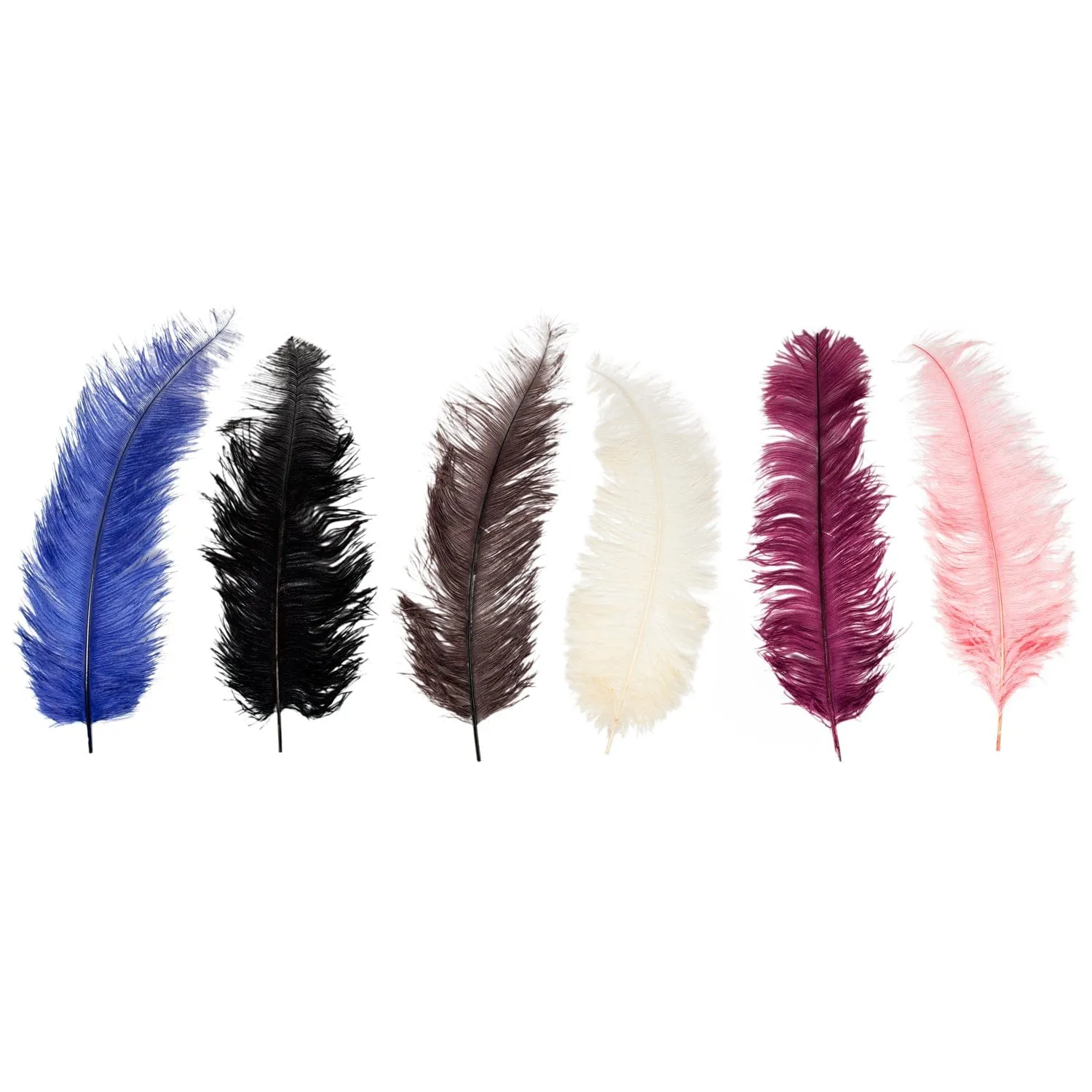 Ostrich Feather DISCONTINUED