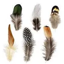 Pheasant Feather Combination Feather
