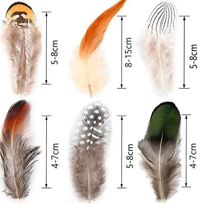 Pheasant Feather Combination Feather