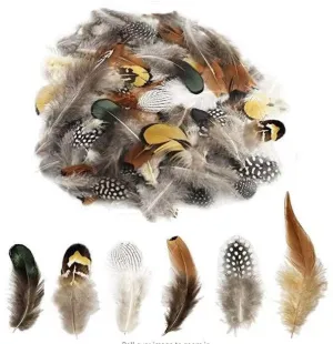 Pheasant Feather Combination Feather